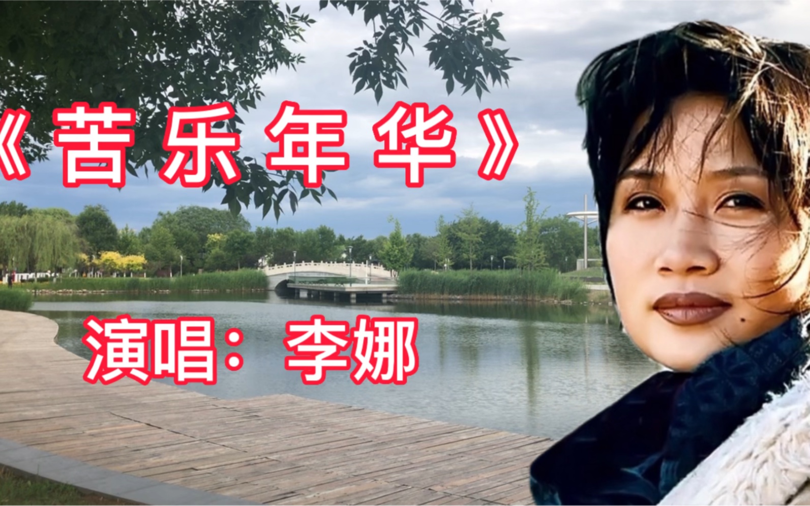 [图]经典影视歌曲，李娜这首《苦乐年华》歌声感人肺腑，唱尽酸甜苦辣