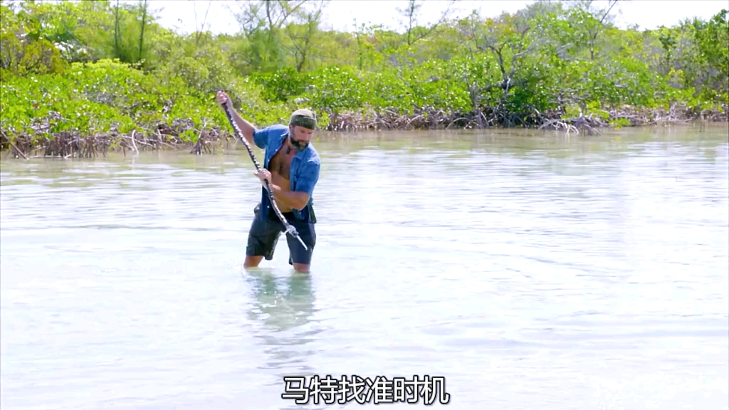 在我国南海求生,乔和马特吃海中巨无霸,品尝野生的银棍子 #荒野求生