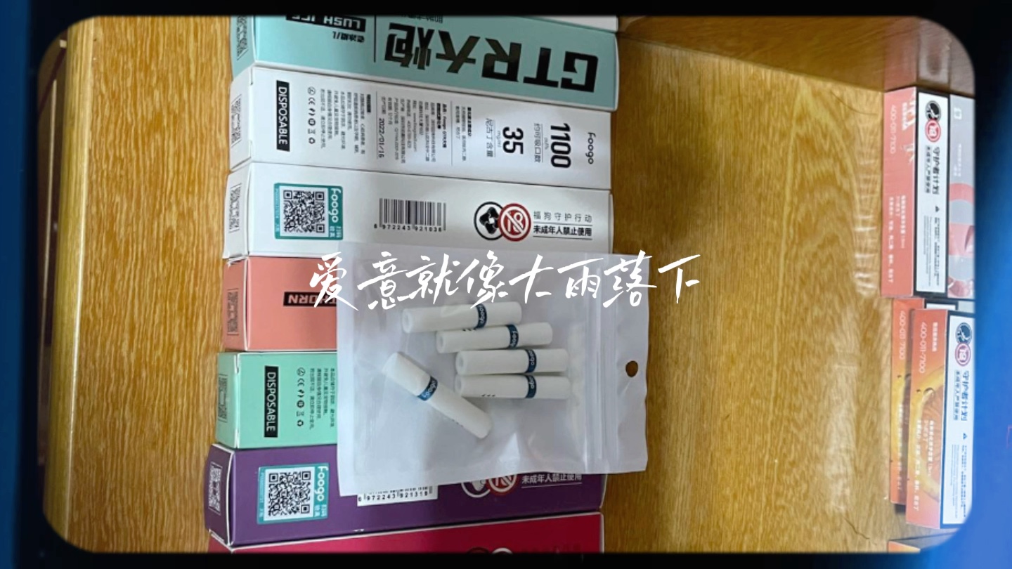 福狗foogo小钢炮