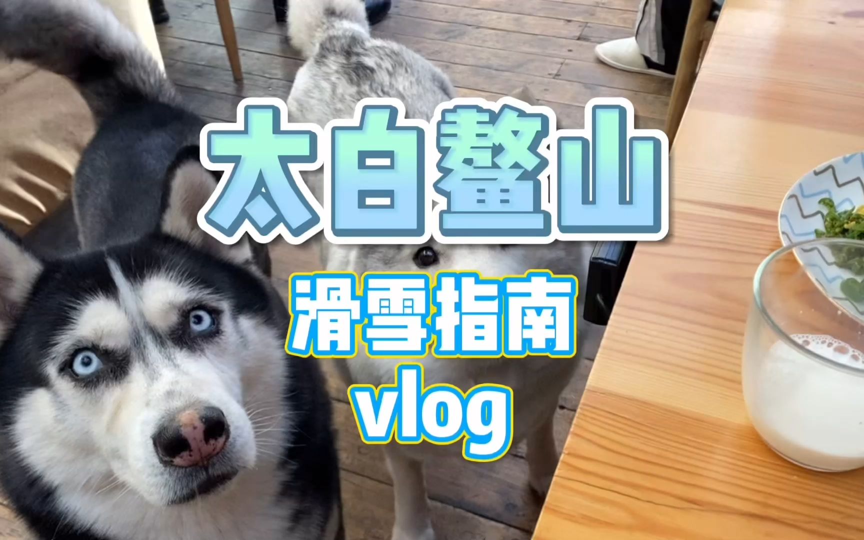 陕西太白鳌山滑雪场滑雪指南&攻略&vlog哔哩哔哩bilibili