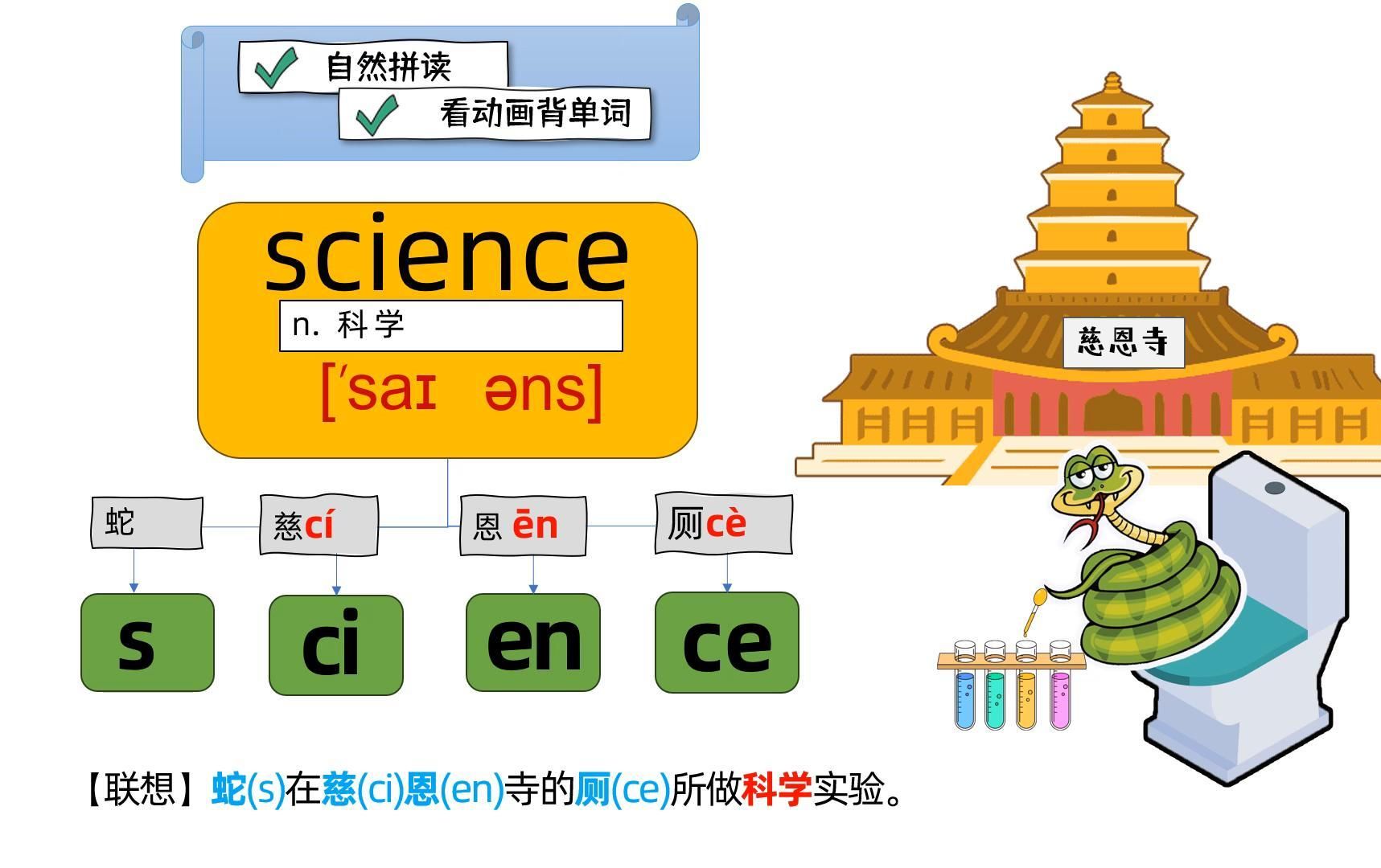 看动画背单词science,自然拼读 快速记忆哔哩哔哩bilibili