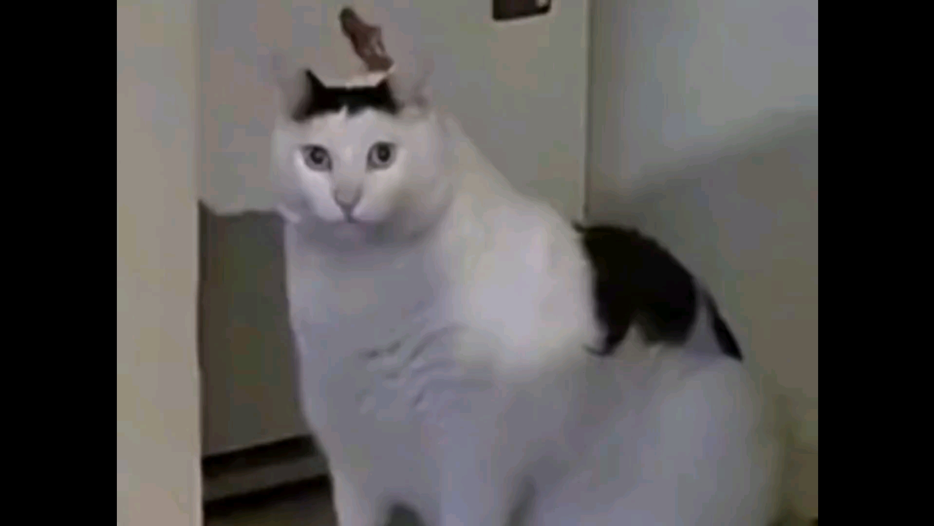 我不要开学