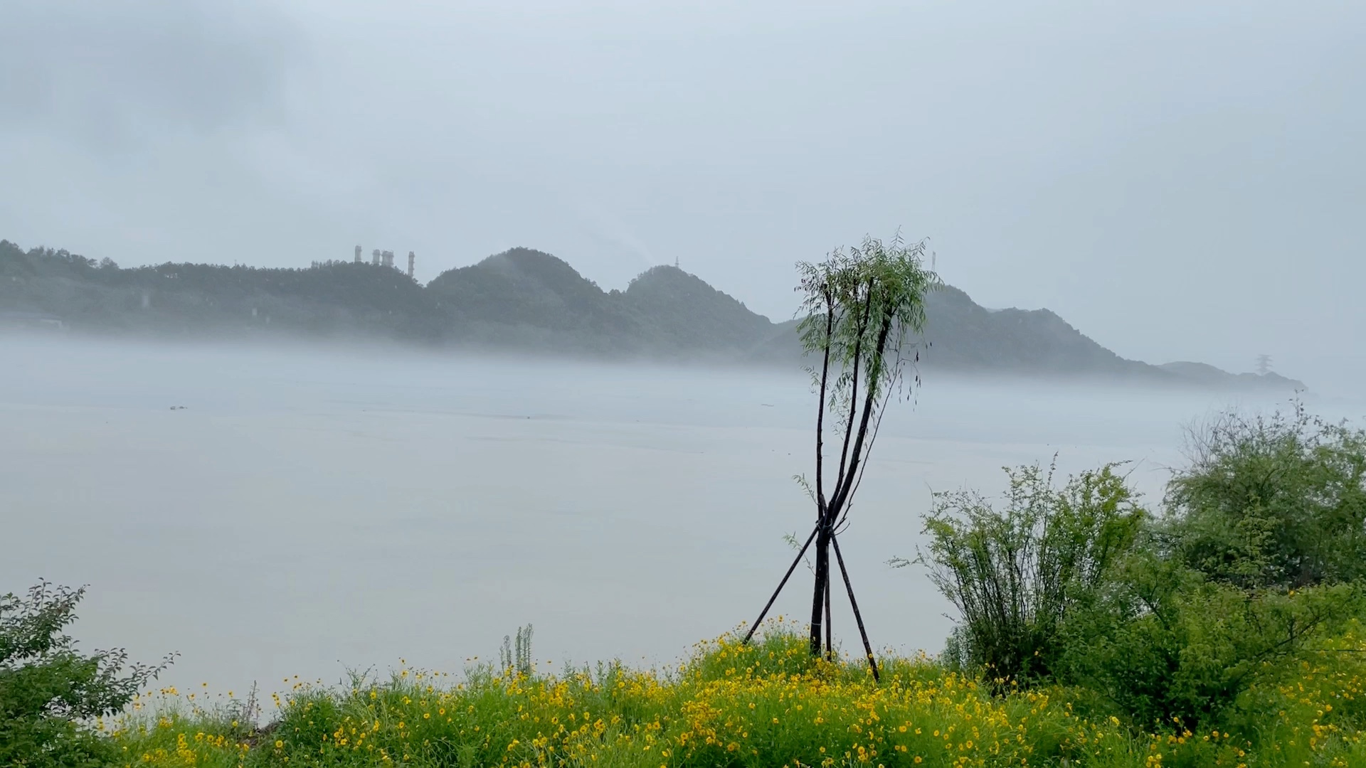 初夏雨里的江南,水碧清山滴翠,雨下山里水里水汽氤氲雾气缭绕,如仙境