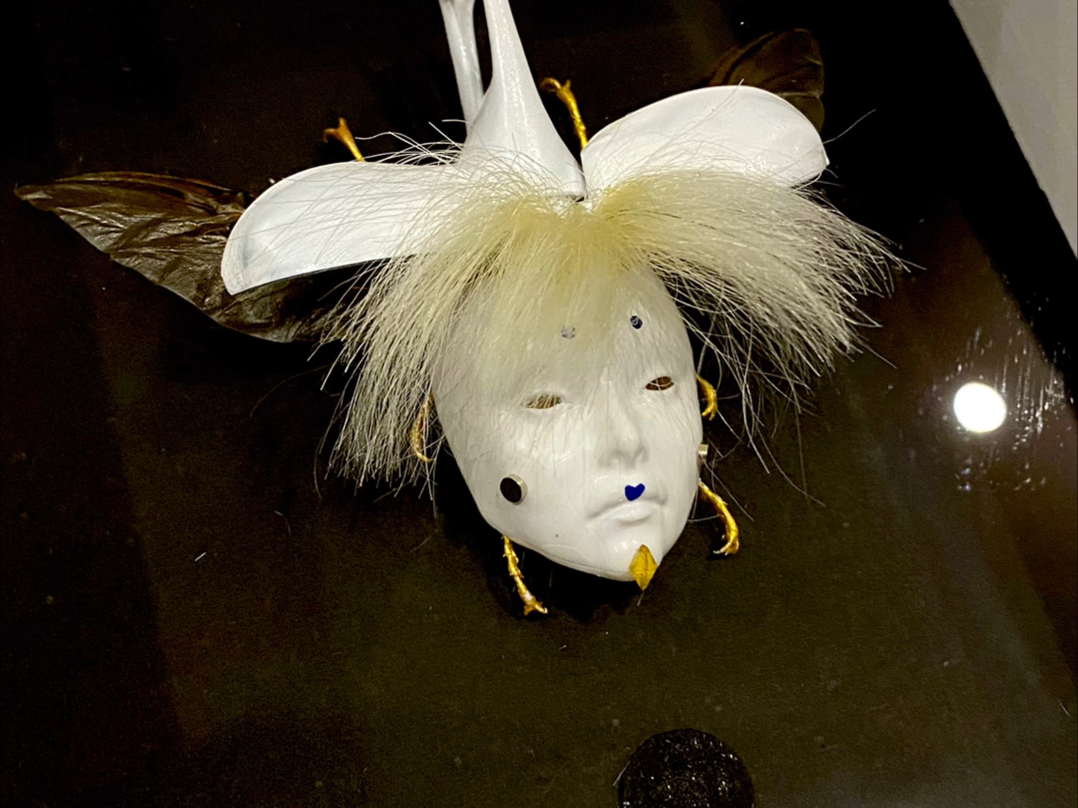 寄生猎奇怪诞美学昆虫标本-只因虫