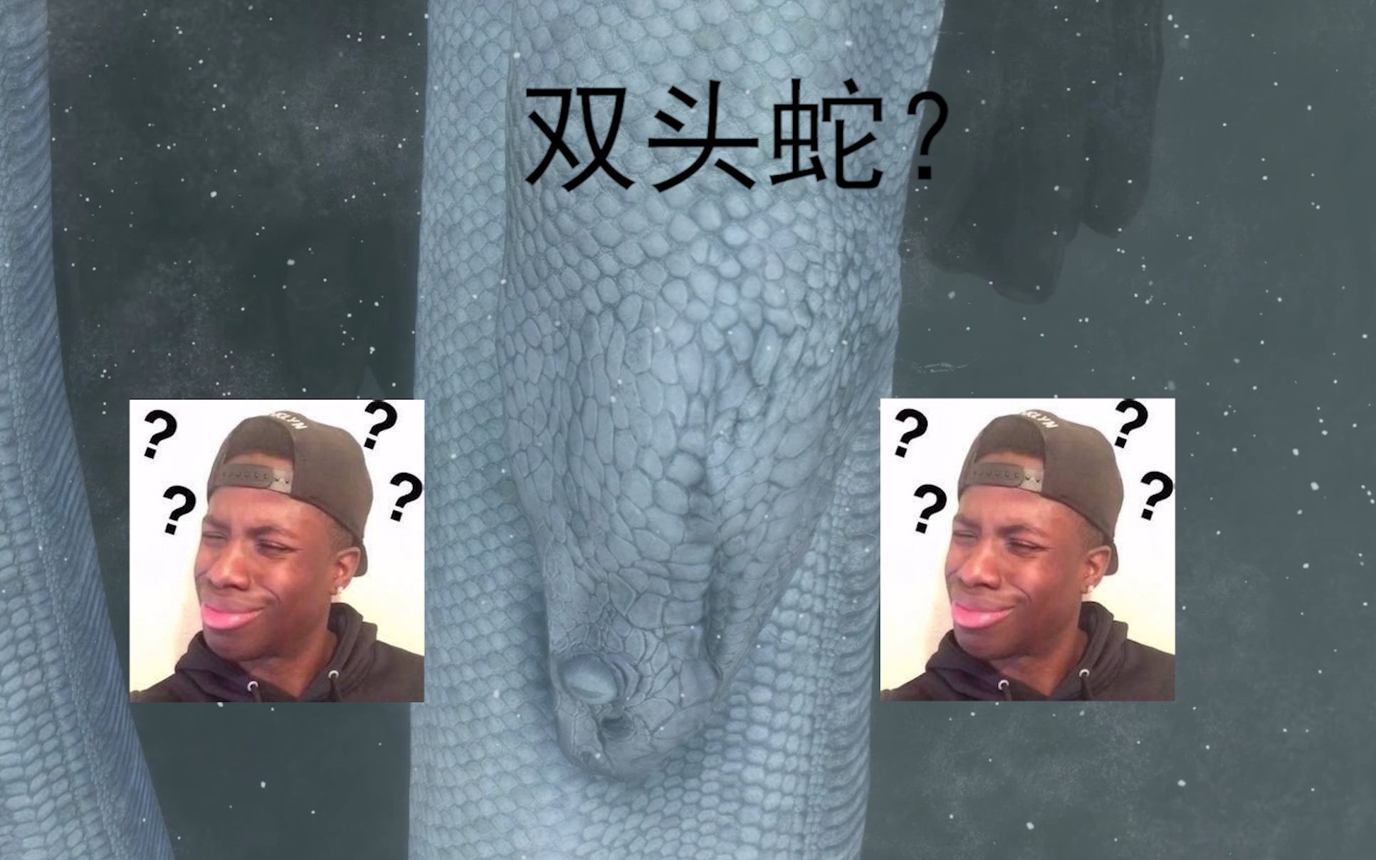 只狼里的白蛇是双头蛇?白蛇神到底有多长?只狼:影逝二度