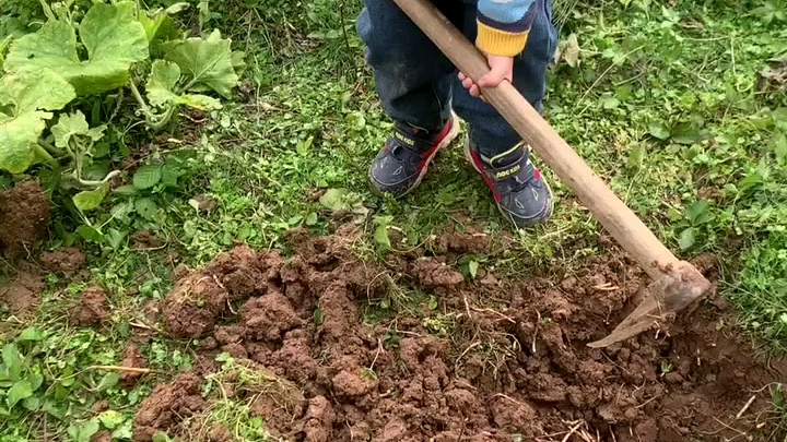 挖地喽,干活喽