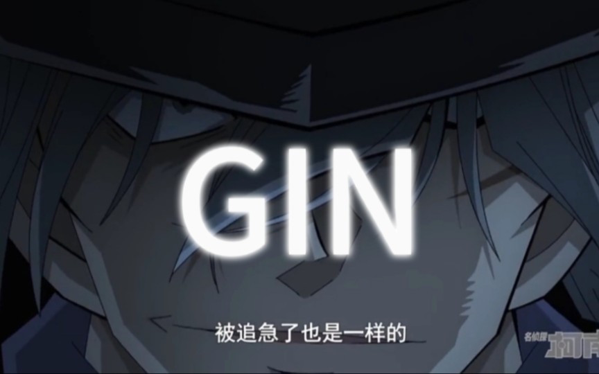 【GIN/琴酒/黑泽阵】哼...黑色和黑色混在一起只能变成黑色哔哩哔哩bilibili