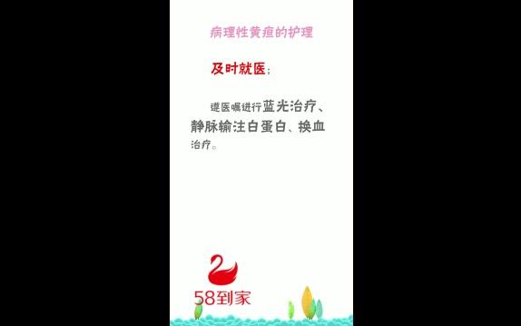 新生儿黄疸介绍及护理方式哔哩哔哩bilibili