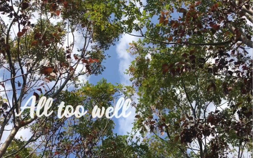 All too well十分钟版本|吉他弹唱|中英字幕|自拍MV_哔哩哔哩_bilibili