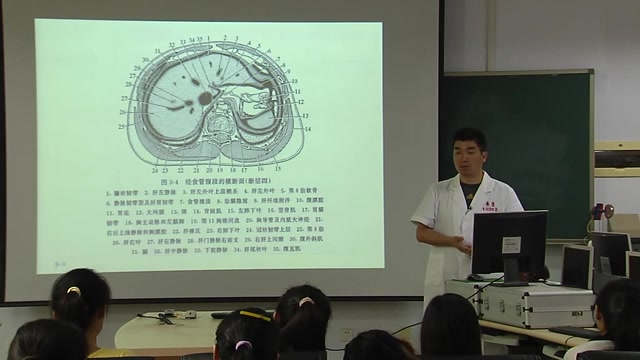 [图]断层解剖学 腹部横断层影像解剖（2）