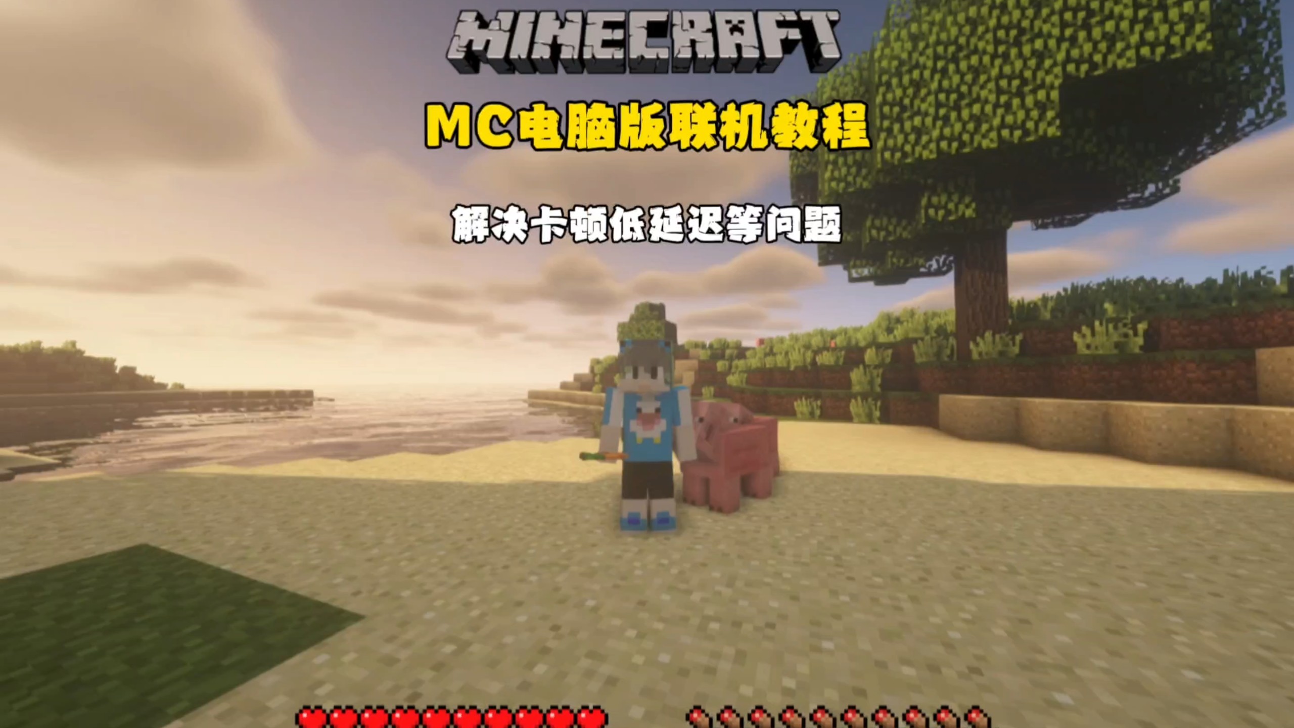 MC电脑版联机教程:解决卡顿低延迟等问题