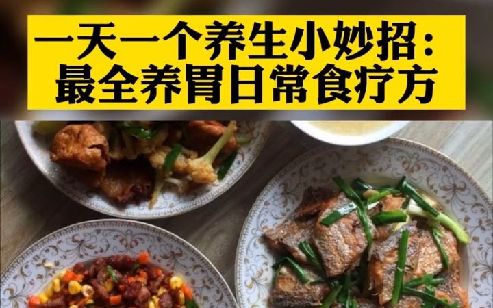 一天一个养生小妙招:最全养胃日常食疗方哔哩哔哩bilibili