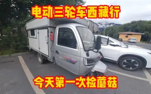 Download Video: 电动三轮车西藏行 去拉萨的路上还有免费旅馆住 今天还去捡了蘑菇