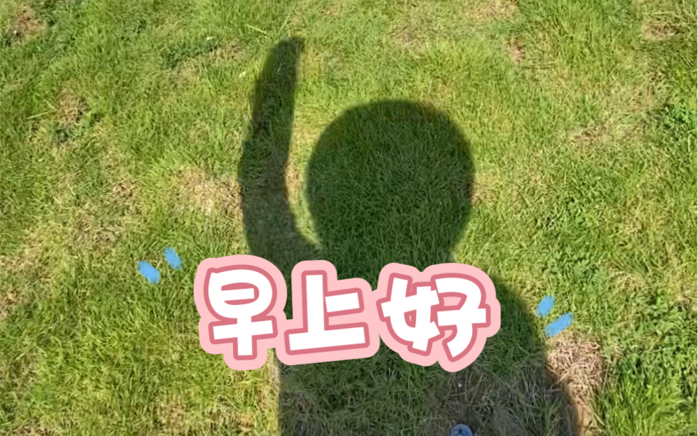 早晨起来拥抱太阳