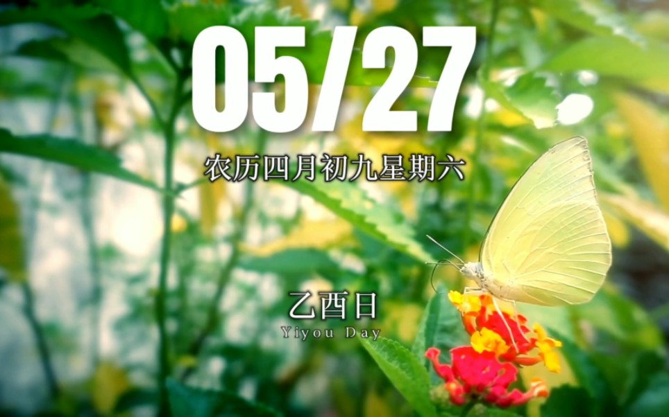 今天是5月27日星期六农历四月初九 乙酉日,十二建除的定日 朱雀黑道日,早安. #每日早安分享 #弘扬中国传统文化 #易经国学风水哔哩哔哩bilibili