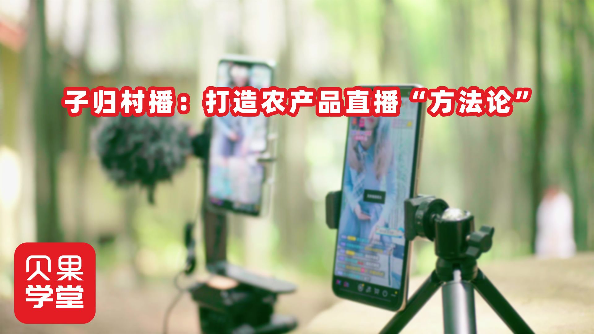 农产品直播有多大能量？村播不走网红路线，帮助农村数千人就业！