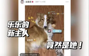 Скачать видео: 这一定是上天注定的缘分，乐乐要去新家啦！