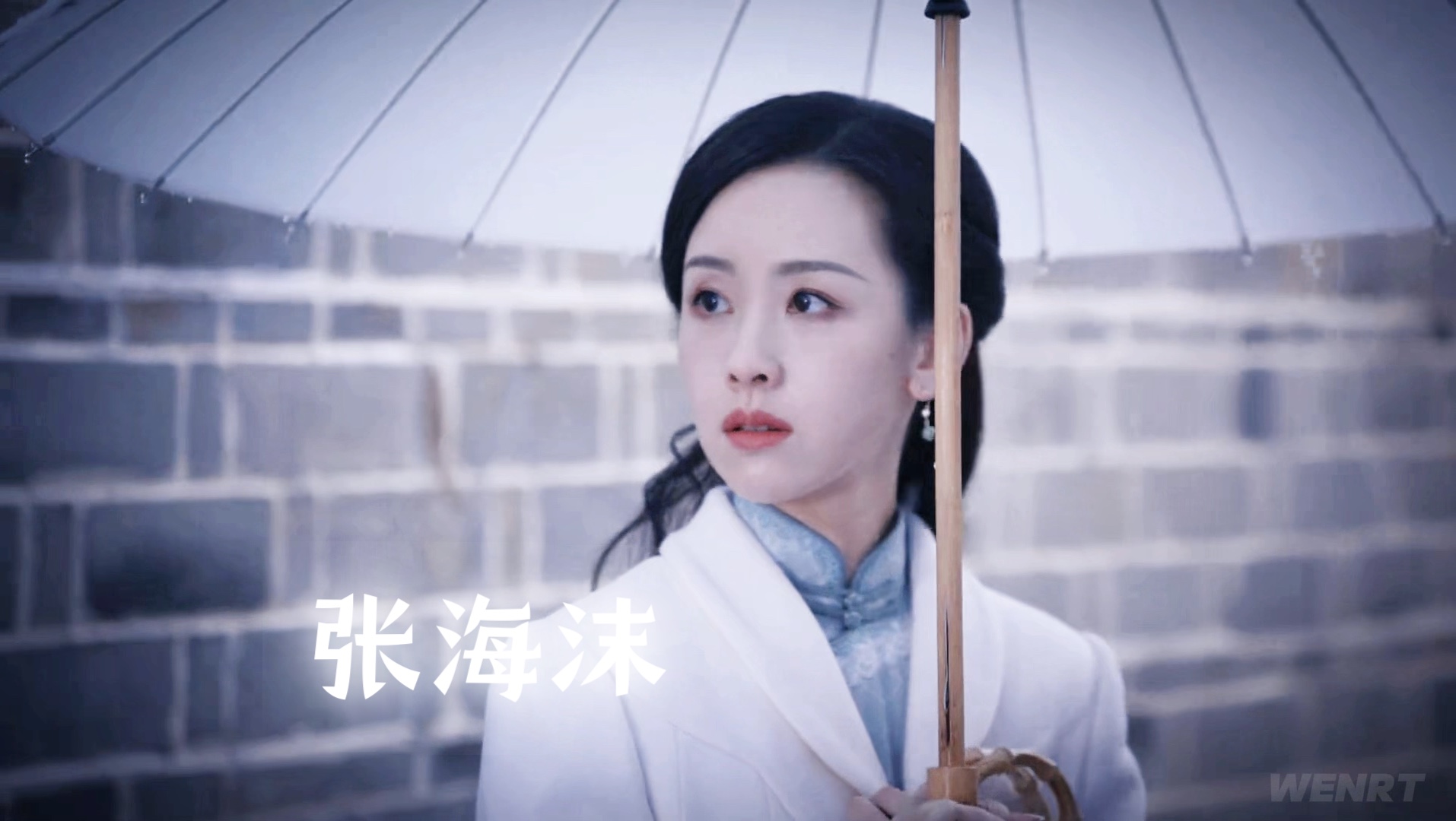 张海沫-陌上人如玉