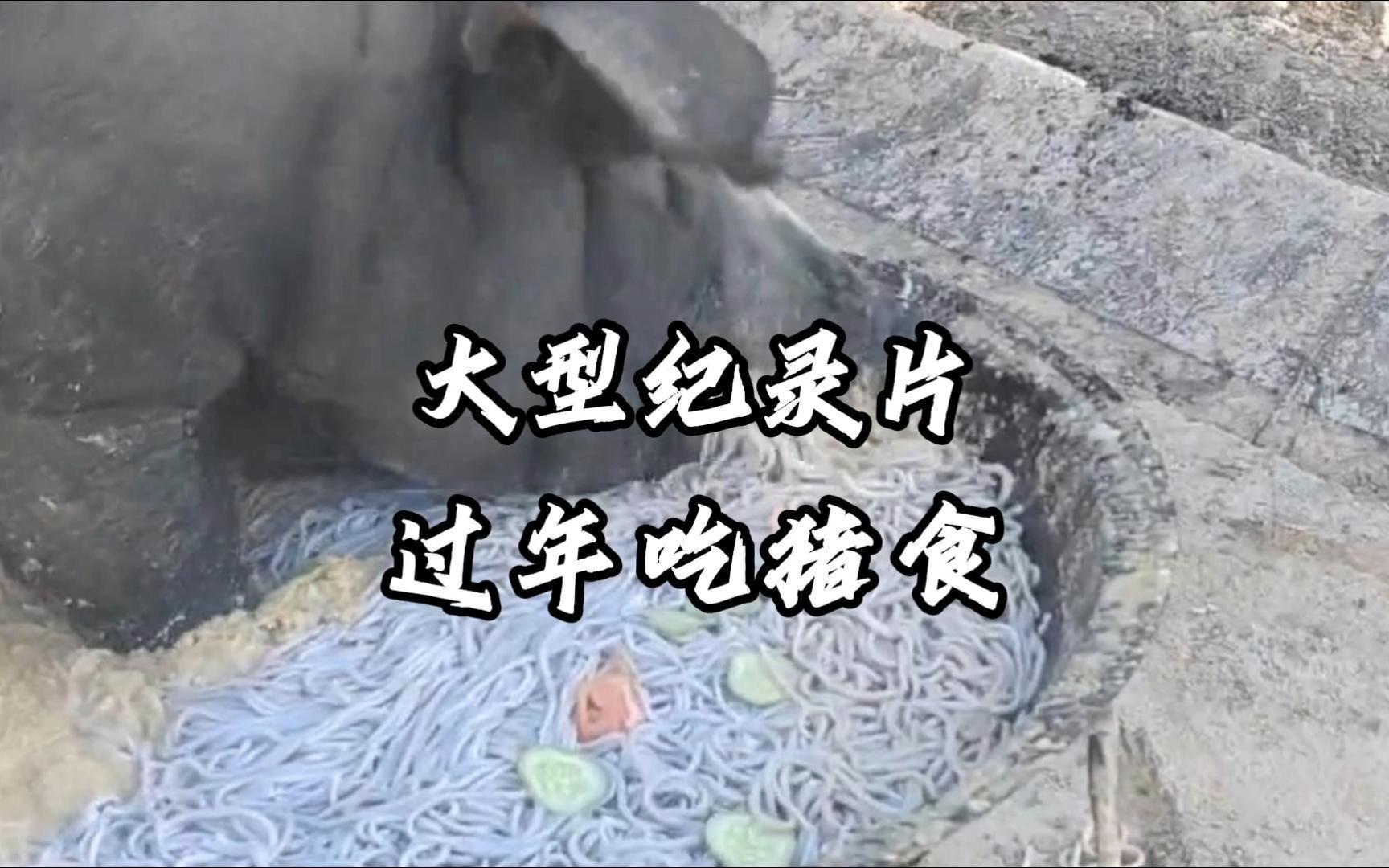 [图]错把猪食当稀饭，我看你是真饿了 大型纪录片《过年吃猪食》