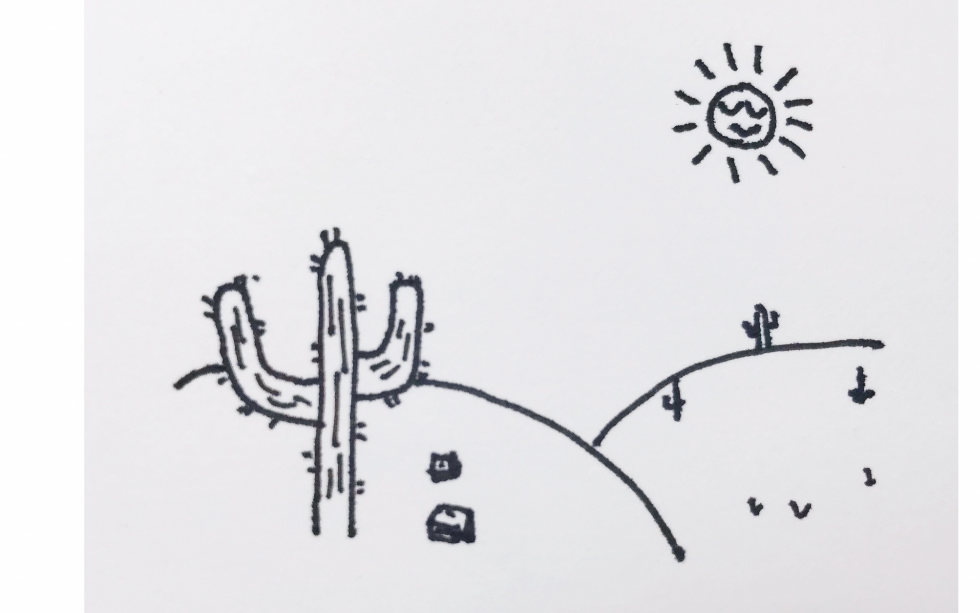 活动作品简笔画我们一起画沙漠风景吧