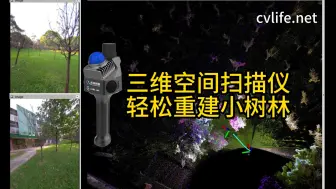 Descargar video: 三维空间扫描仪，轻松重建小树林