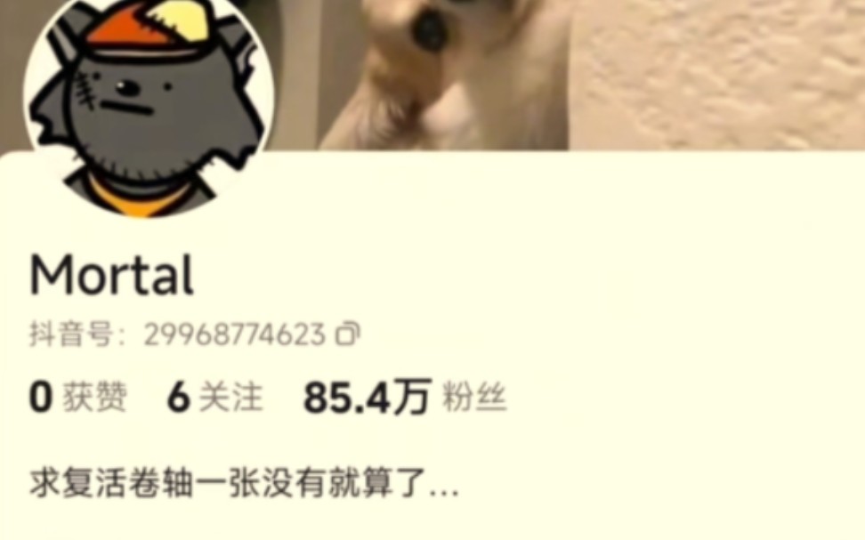 mortal温馨提示:早点睡觉哔哩哔哩bilibili