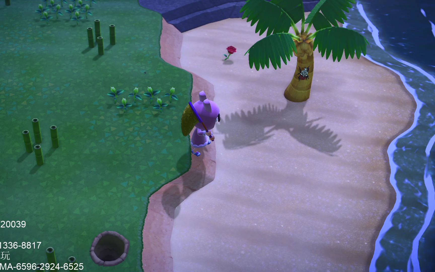 活动作品动森竹子岛611三次刷到竹子岛老套路刷蝎子爆率低没办法仅留