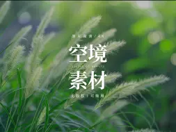 Download Video: 【免版权空镜】随风飘动的狗尾巴草视频素材