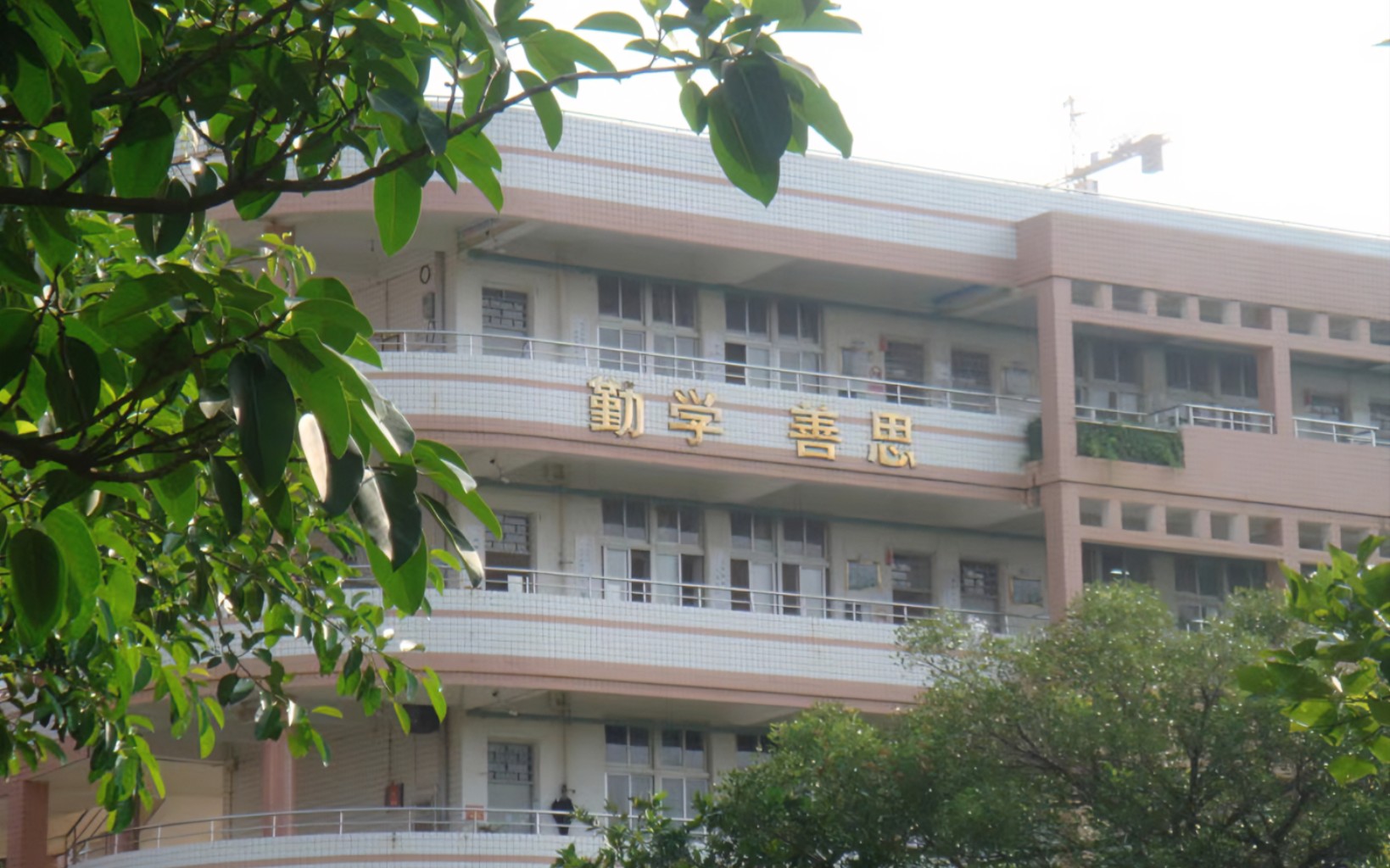 【校园vlog (风景特辑)】泉港一中2022年的春夏秋冬
