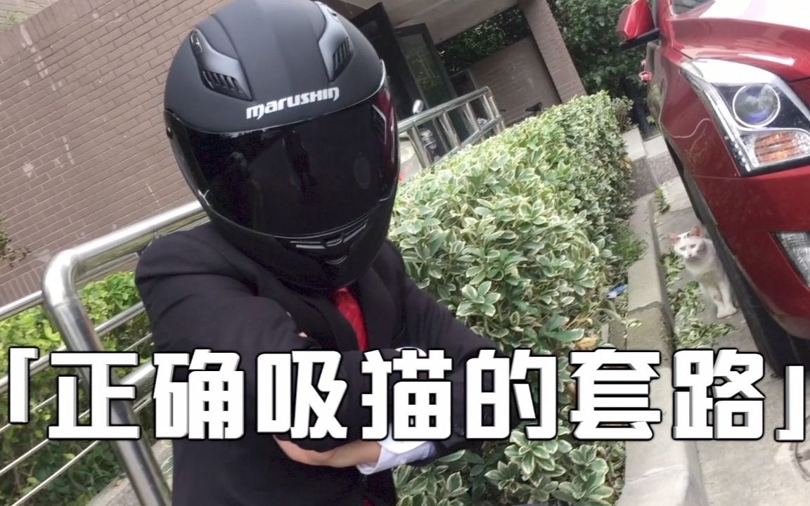 【套路侠】做一名猫奴铲屎官是一种什么样的体验?3分钟视频告诉你正确吸猫的套路哔哩哔哩bilibili