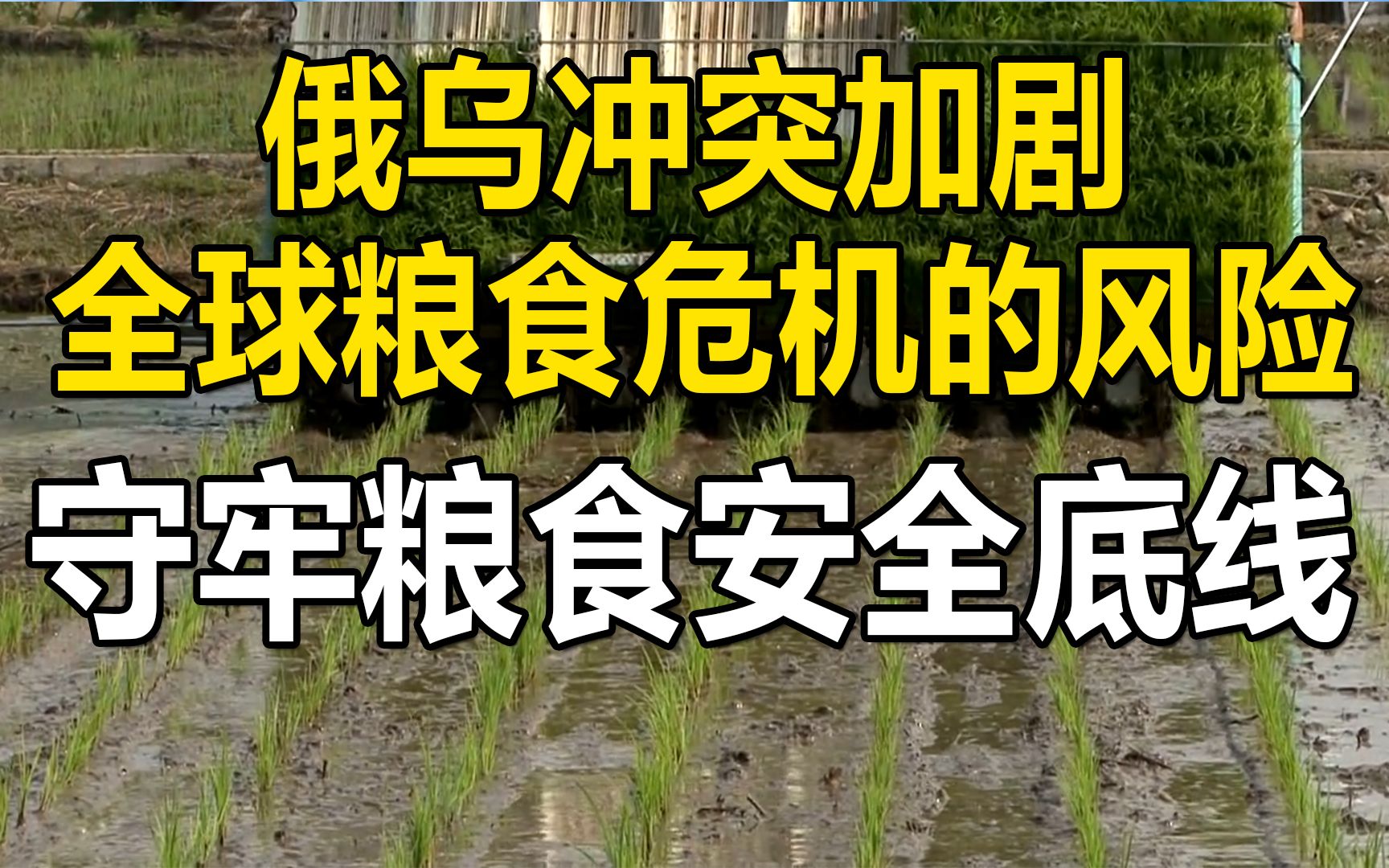 俄乌冲突加剧全球粮食危机的风险,我们粮食安全有保障,要守牢粮食安全底线哔哩哔哩bilibili