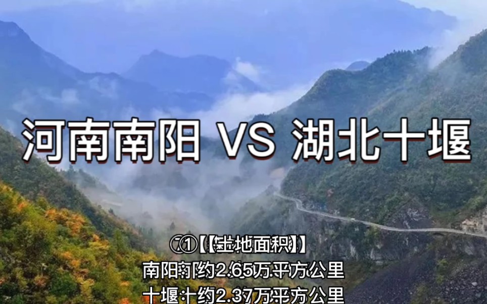 河南南阳 VS 湖北十堰哔哩哔哩bilibili