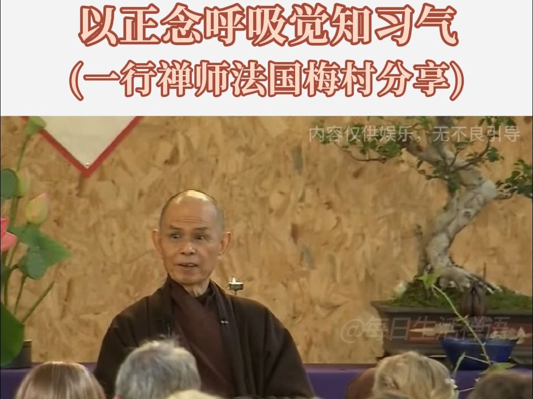 一行禅师:我们的习气是如此强大,不要被“习气”控制你的心和身!哔哩哔哩bilibili