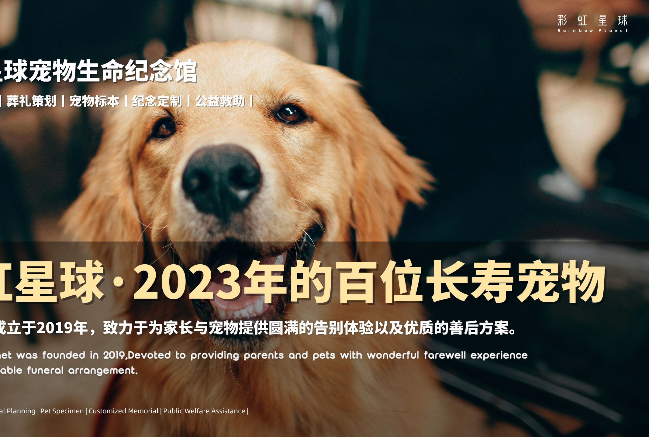 北京宠物殡葬|他们看遍人间繁华幸福归去