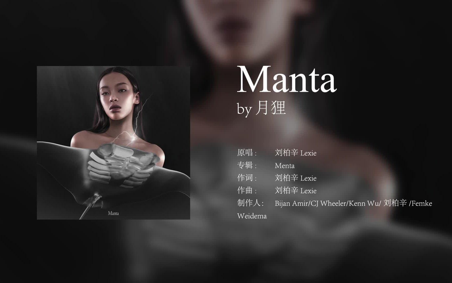 活动  【月狸】manta(cover:刘柏辛lexie)