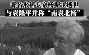 12月8日，杂交粳稻奠基人、辽宁省科技功勋奖获得者、#著名水稻专家杨振玉逝世。“#南袁北杨”俱往矣，杨老，一路走好！