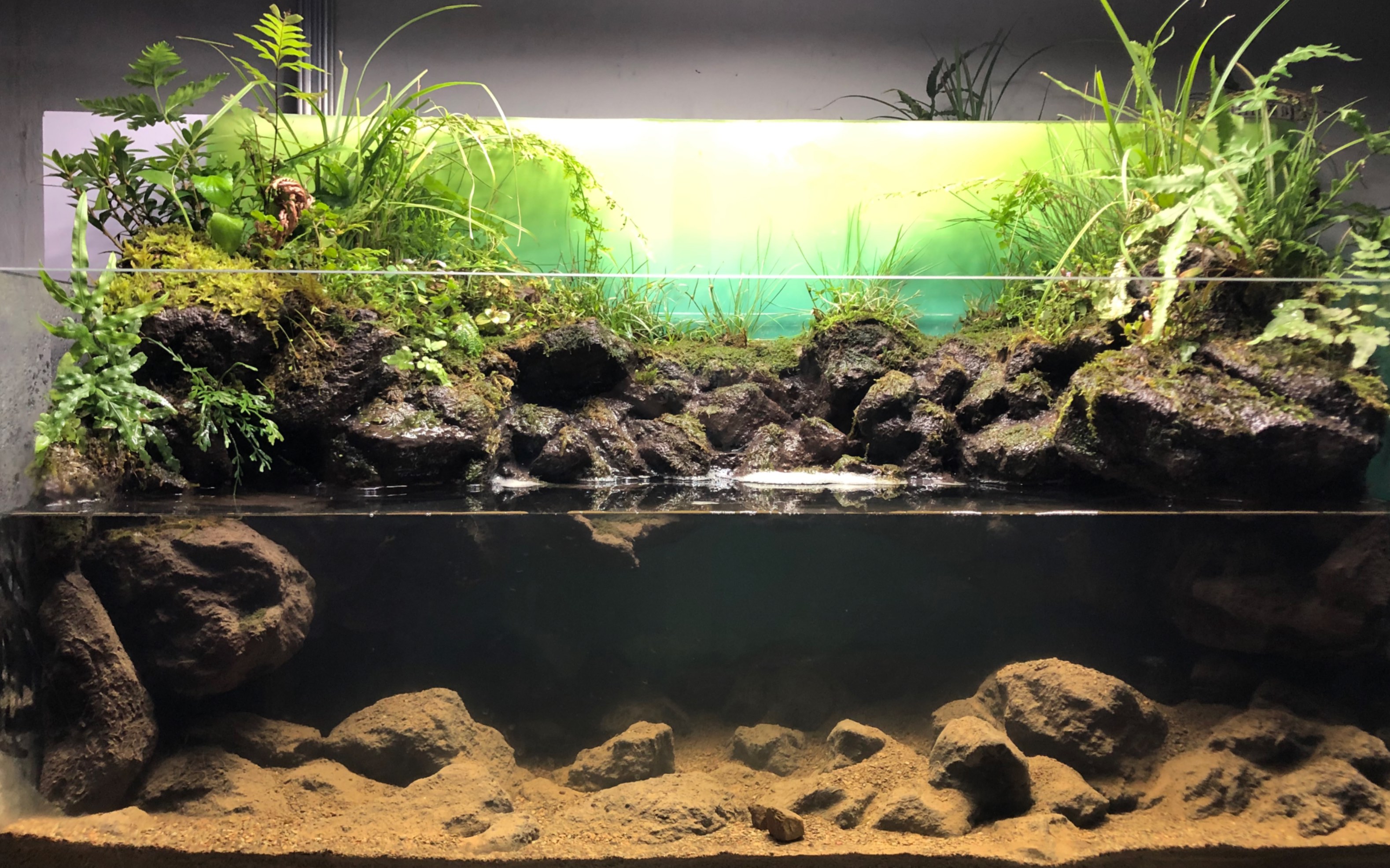 30.30溪流缸,自玩款!