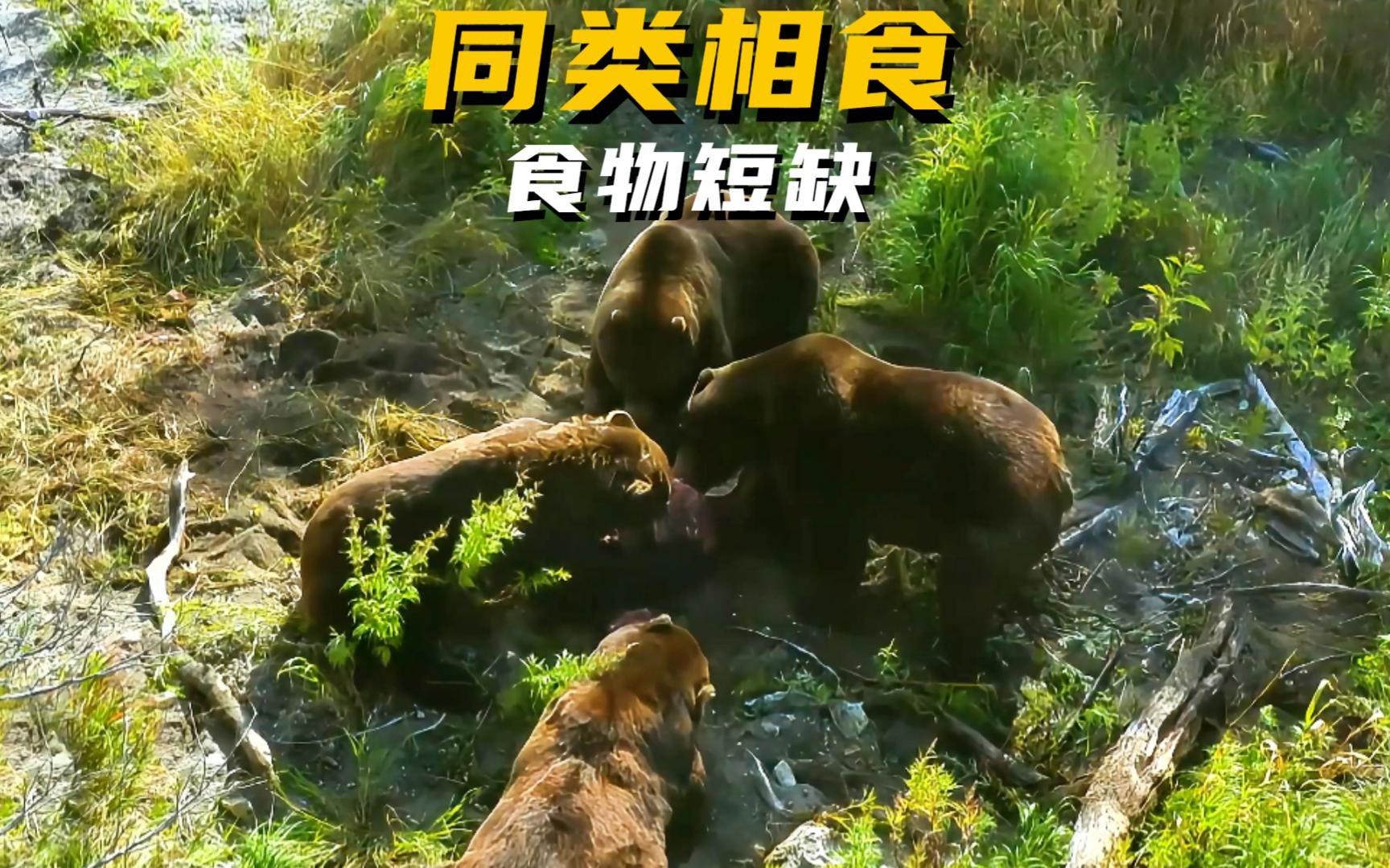 为了生存,同类相食!