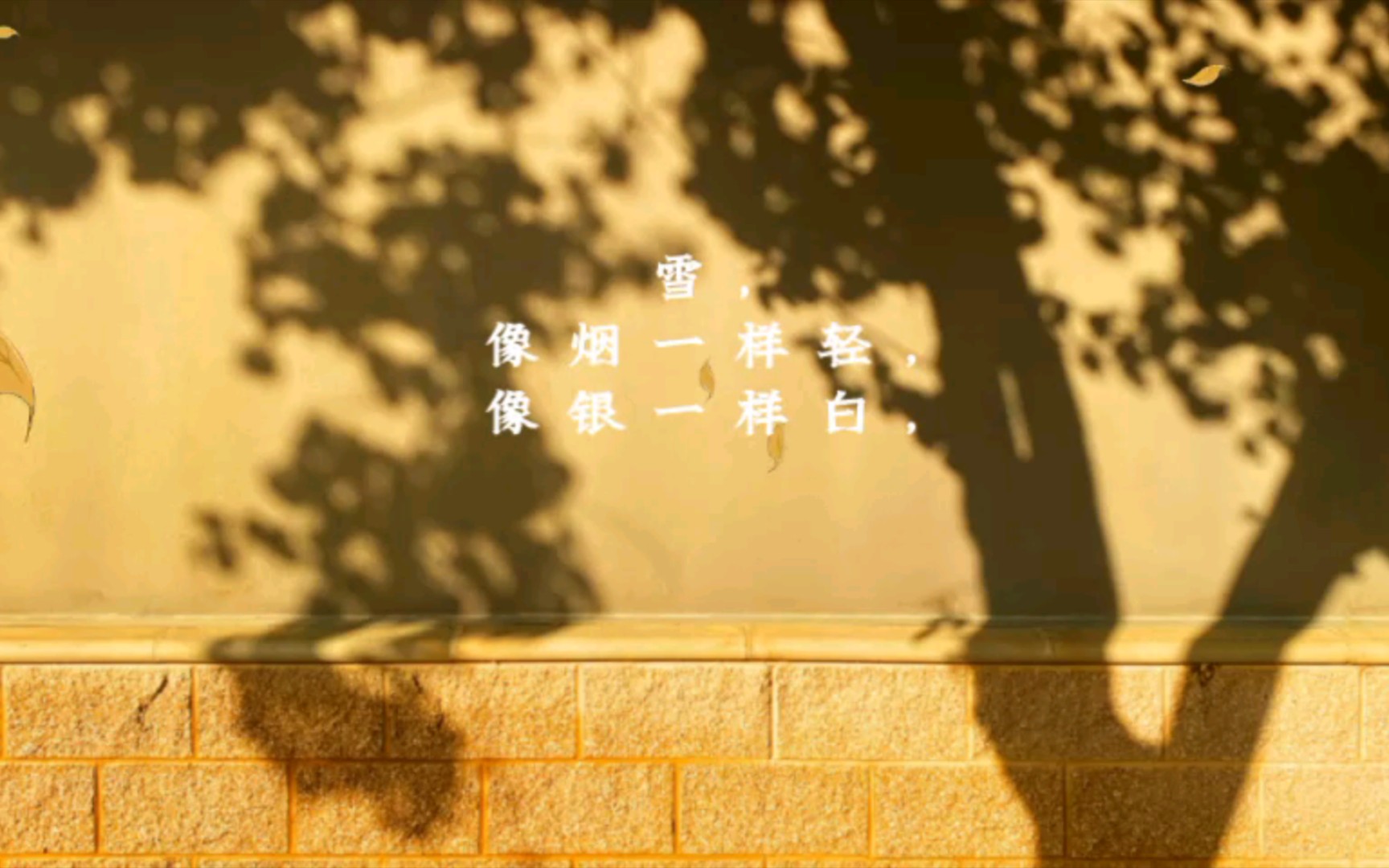 跃动的文字 雪花哔哩哔哩bilibili