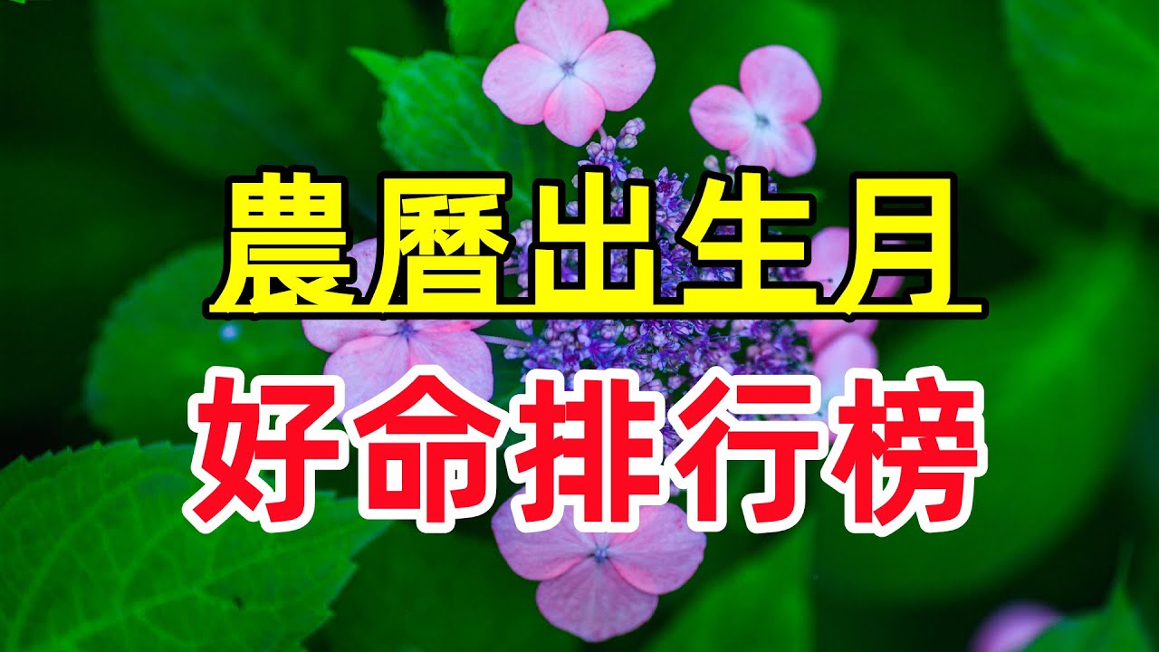 【农历出生月】好命排行榜!前六名,有你吗?哔哩哔哩bilibili