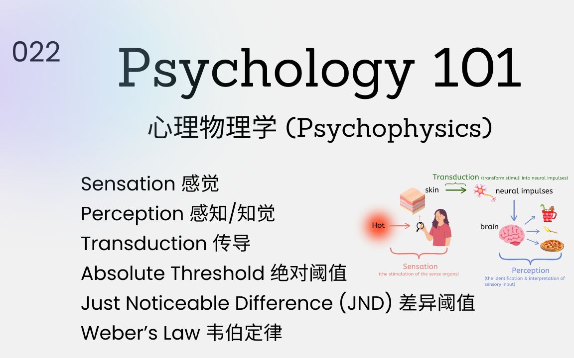 Psychology101|感觉(Sensation) 感知(Perception) 和心理物理学(Psychophysics)哔哩哔哩bilibili