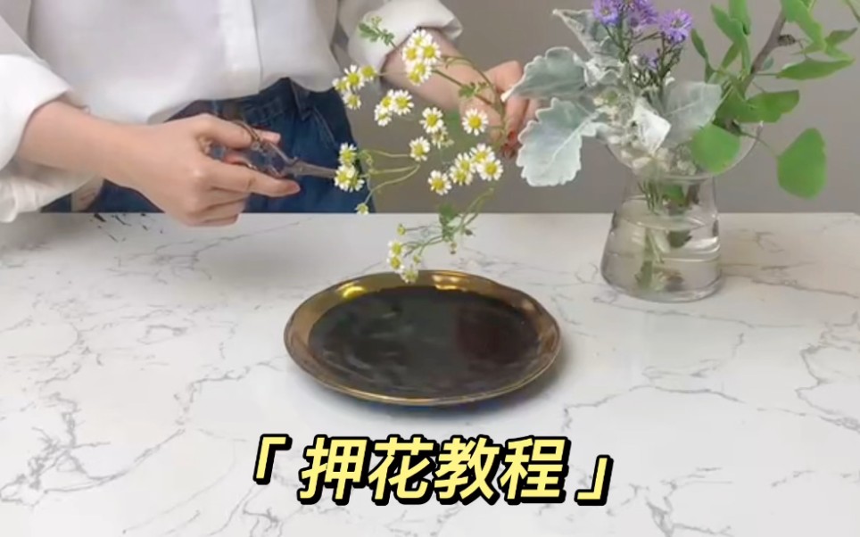 【干花制作】押花教程分享哔哩哔哩bilibili