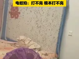 Download Video: 出去忘记关门，房间苍蝇无敌满天飞。电蚊拍：打不完 根本打不完  Z21