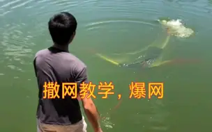 Download Video: 录个教学视频顺便抓点鱼吃 #纯手工大力马撒网 #传统撒网 #撒网教学