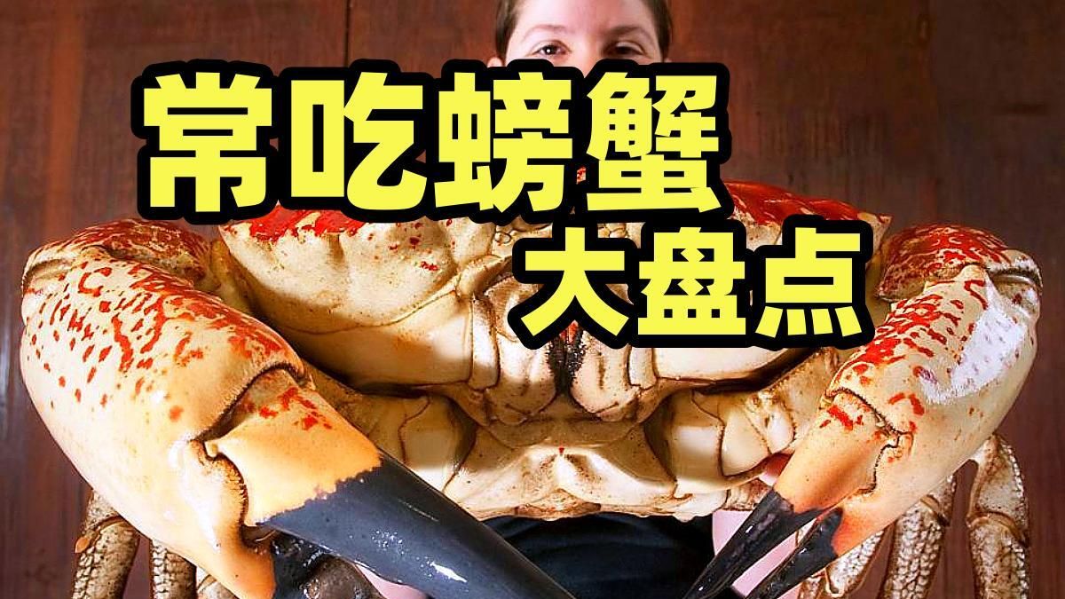 最有食欲的一集!我们常吃的螃蟹都是什么动物?哔哩哔哩bilibili