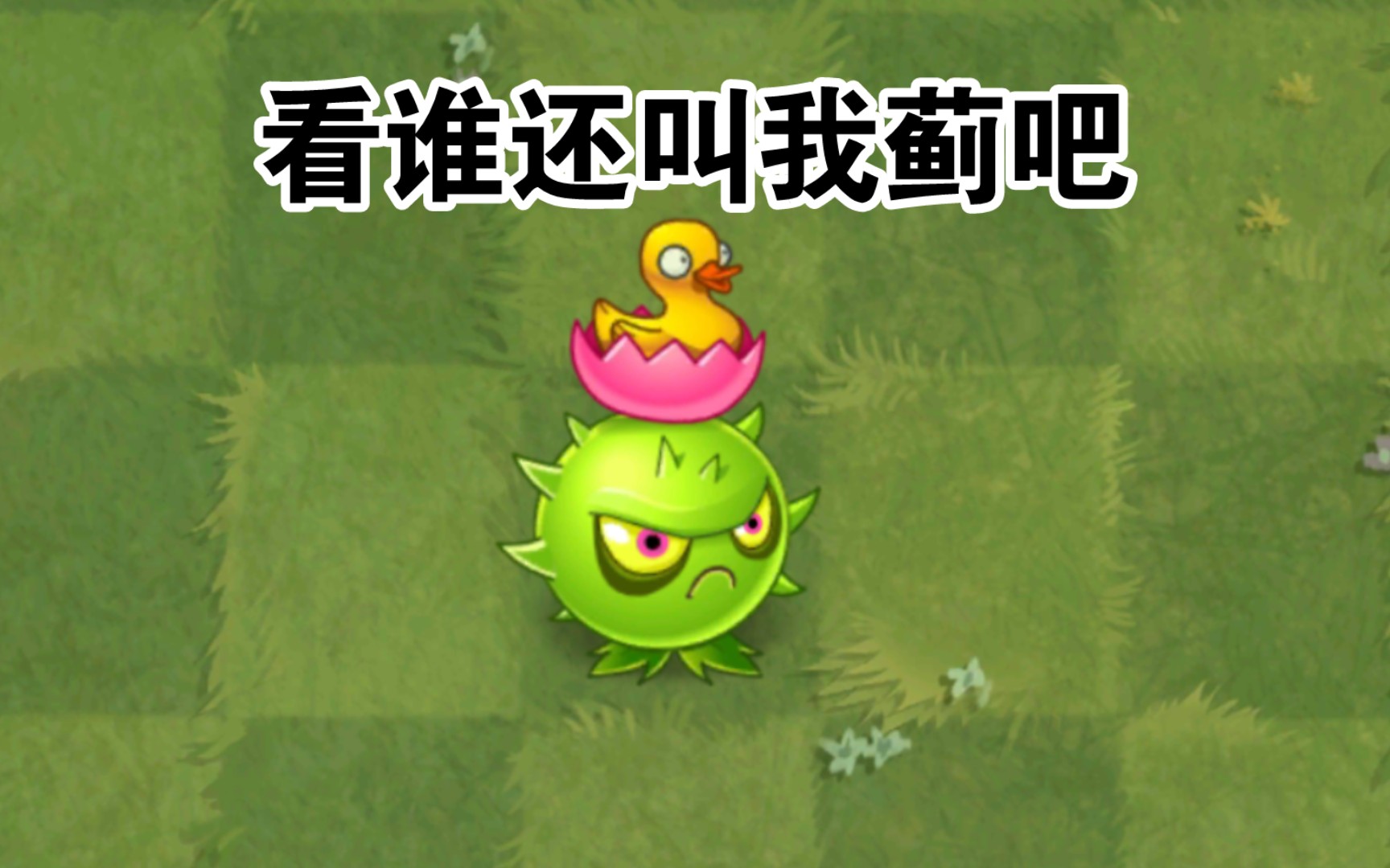 【pvz2】当导向蓟有了1代猫尾草的攻速和弹量会怎样?