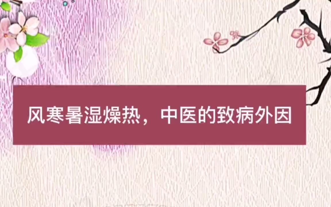 风寒暑湿燥热中医的致病外因