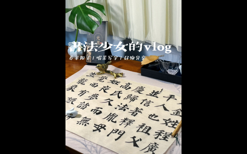 书法vlog|都说我yang了是因为名字起的不好哔哩哔哩bilibili