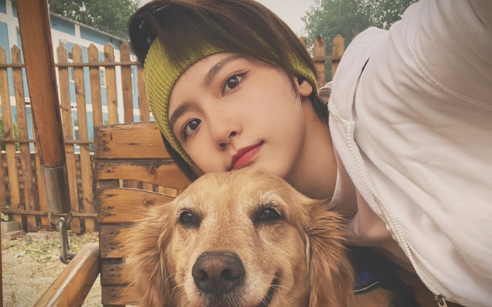 成果/犬来八荒 狗子和狗