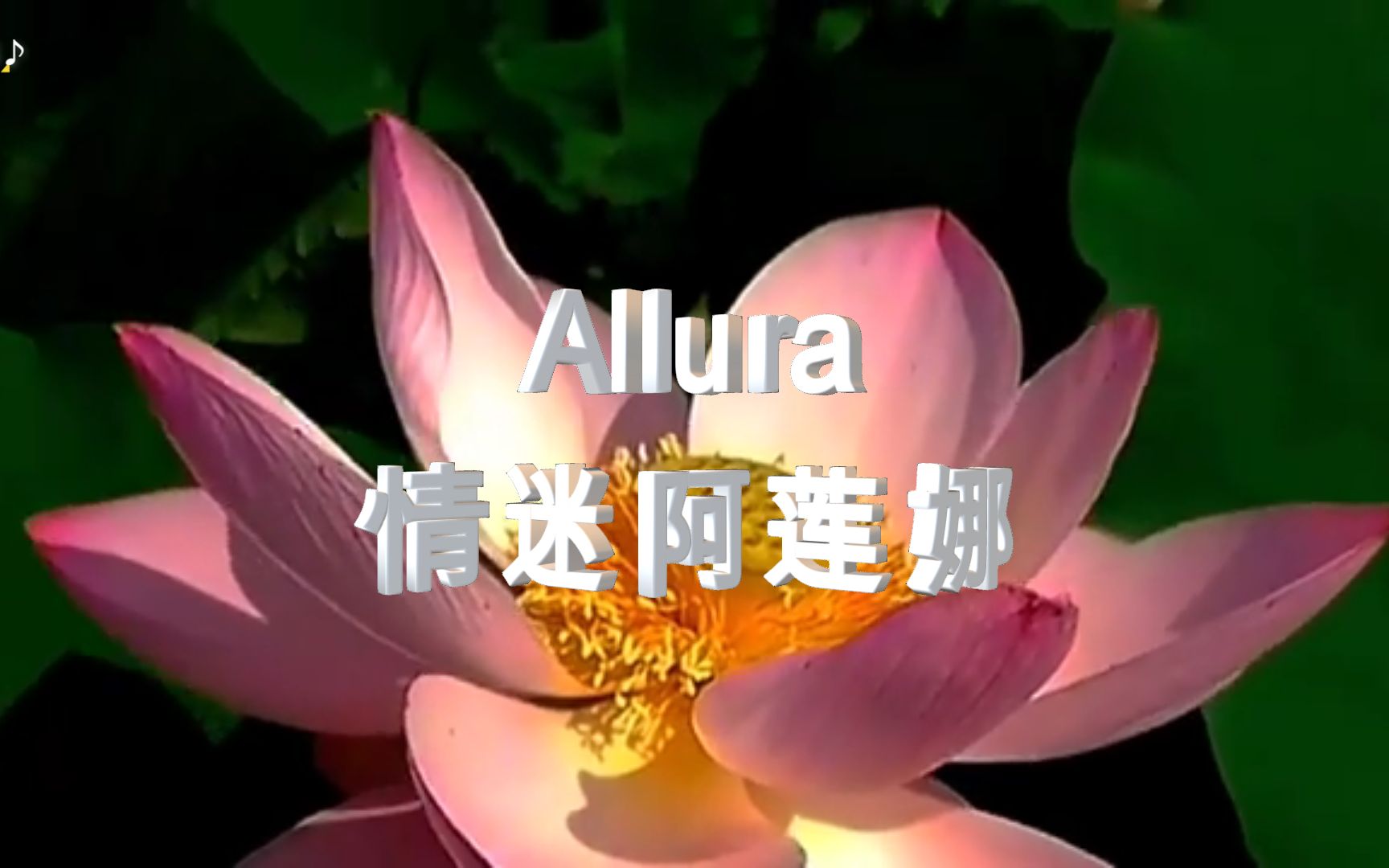 [图]世界顶级空灵纯音《Allura -情迷阿莲娜》，令人身心舒畅，回味无穷